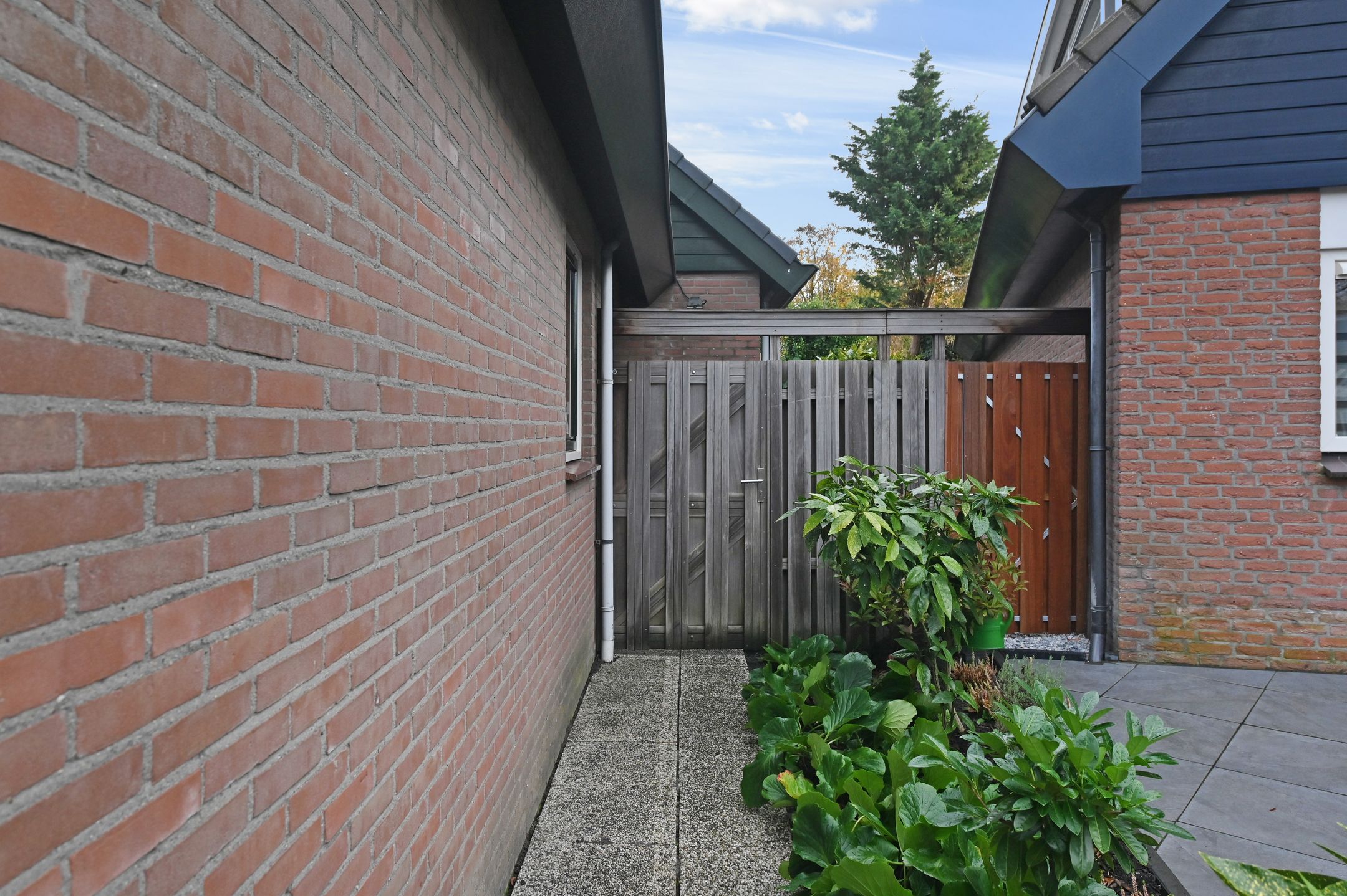 Foto 48 van Karpersloot 64