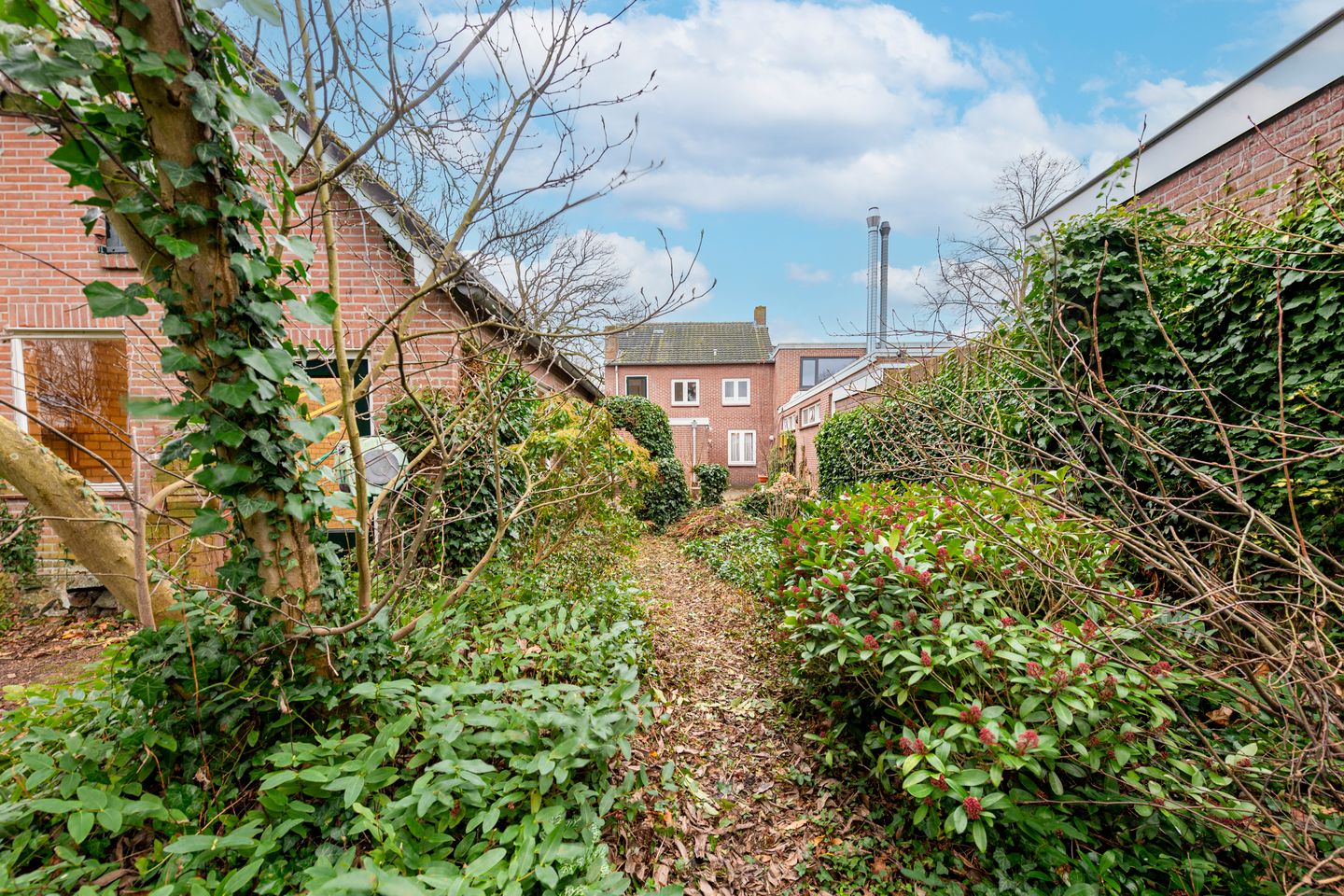 Foto 35 van Kreitenmolenstraat 79