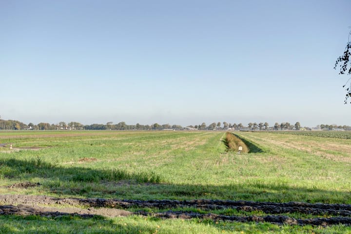 Foto 42 van Westeinderweg 8