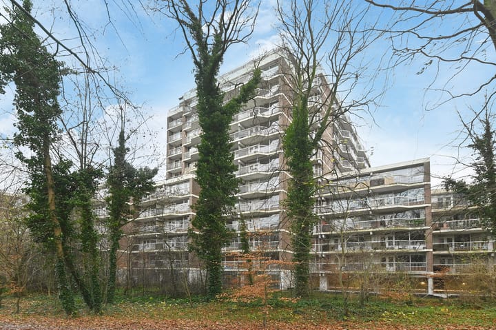 Foto 1 van Boslaan 251