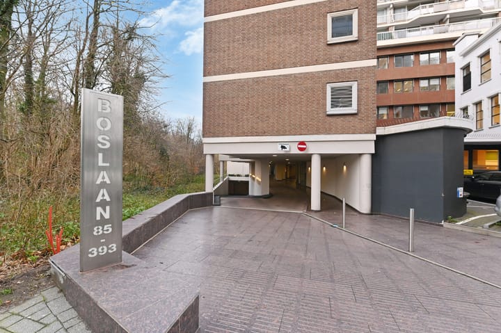 Foto 2 van Boslaan 251