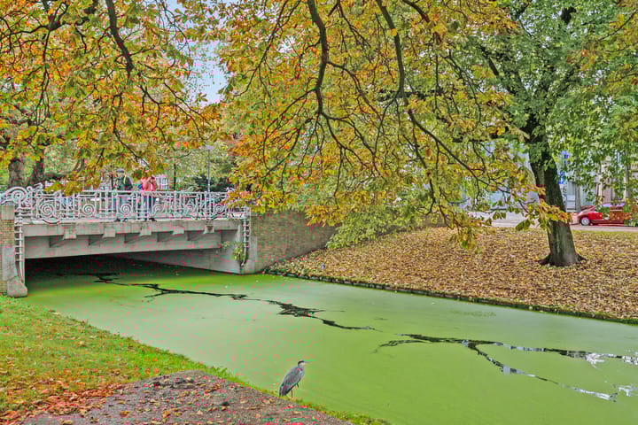 Foto 39 van Zwarte Paardenstraat 167