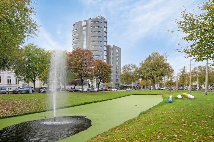 Foto 40 van Zwarte Paardenstraat 167