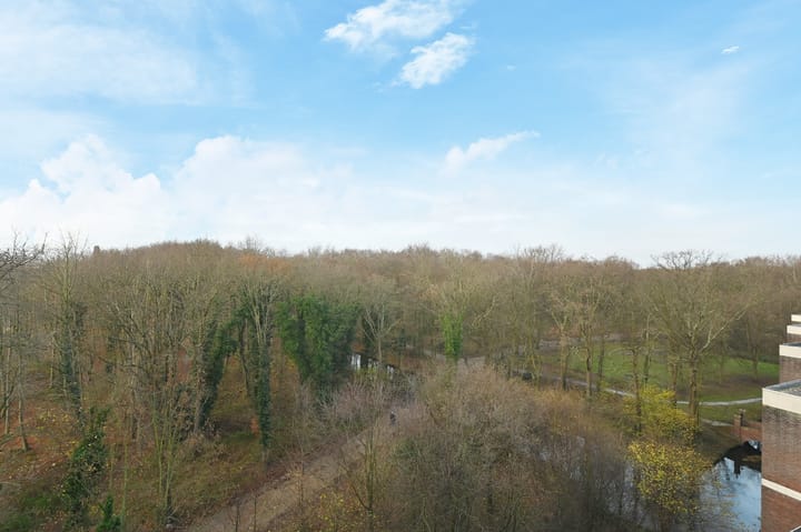 Foto 14 van Boslaan 251