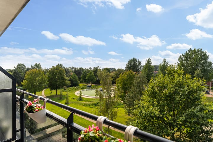 Foto 15 van Merantihout 40