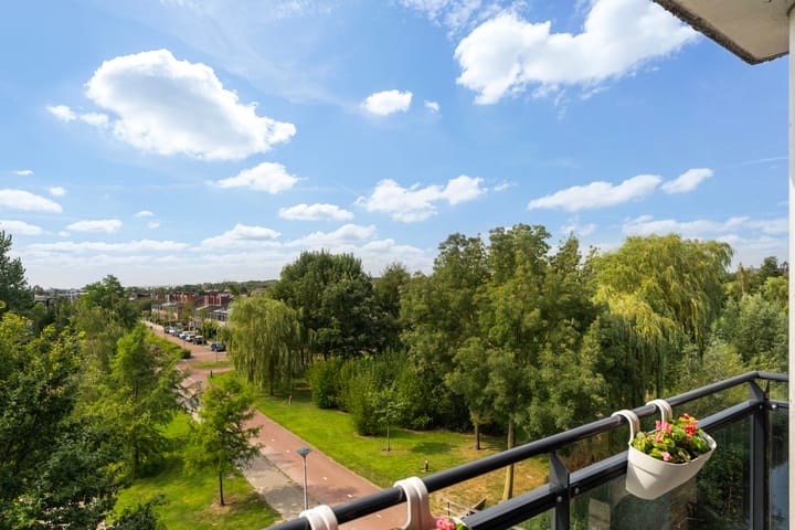 Foto 16 van Merantihout 40