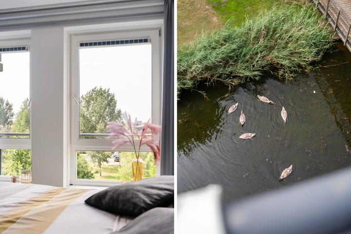 Foto 19 van Merantihout 40