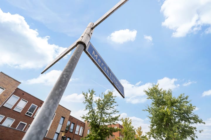 Foto 40 van Merantihout 40