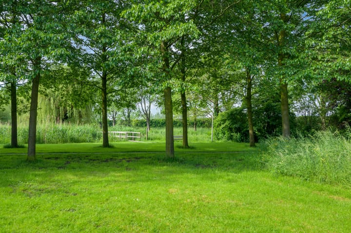 Foto 37 van Wilgenoord 24