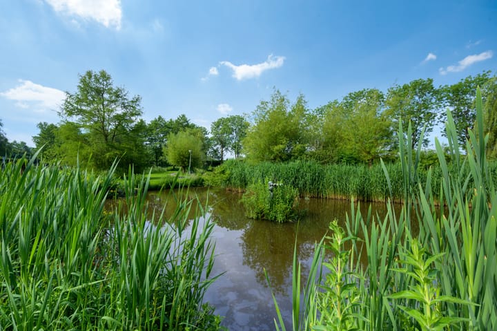 Foto 38 van Wilgenoord 24