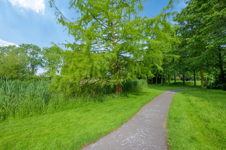 Foto 39 van Wilgenoord 24