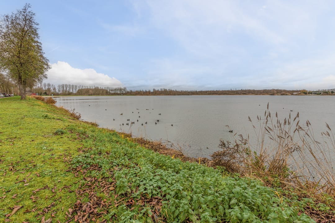 Photo 73 of Asterdkraag 82