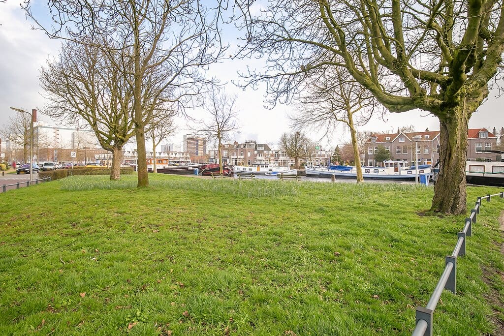 Foto 31 van Vredeman de Vriesstraat 58