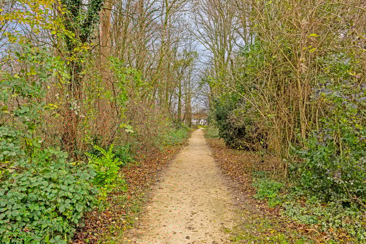 Foto 36 van De Wolken 2