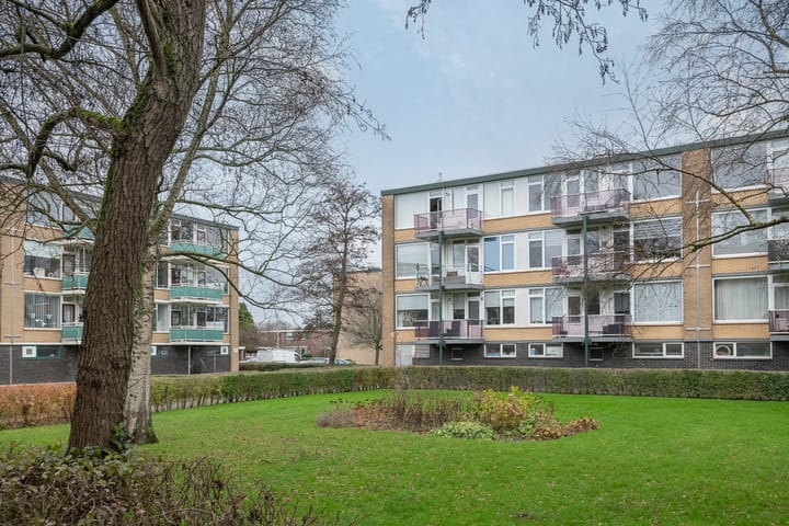 Foto 13 van Van Anrooystraat 393