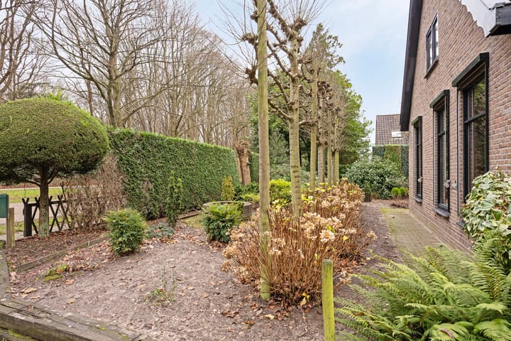 Foto 48 van Ruiterweg 41