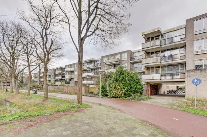 Foto 1 van Wamelplein 42