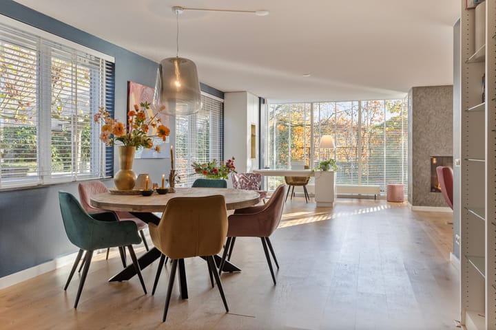 Foto 9 van Honhof Es 11