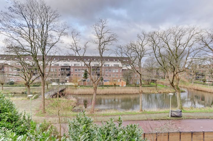 Foto 21 van Wamelplein 42