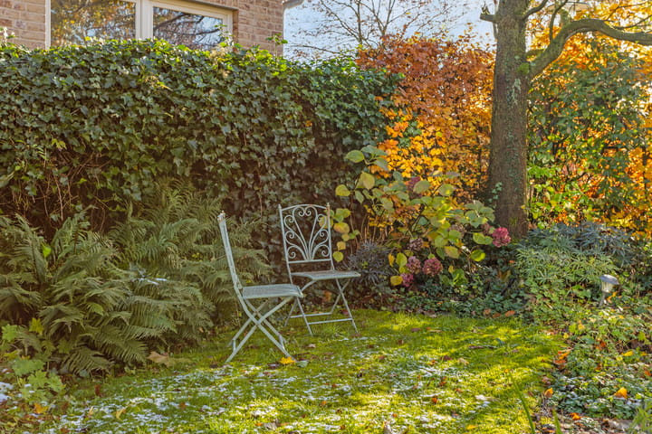 Foto 31 van Honhof Es 11