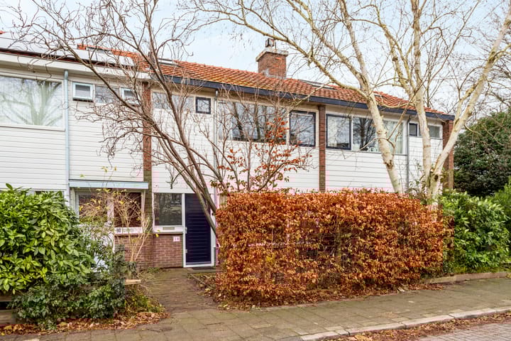 Foto 1 van Troelstraweg 18