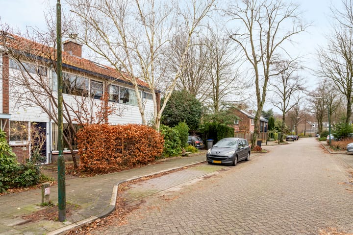 Foto 31 van Troelstraweg 18