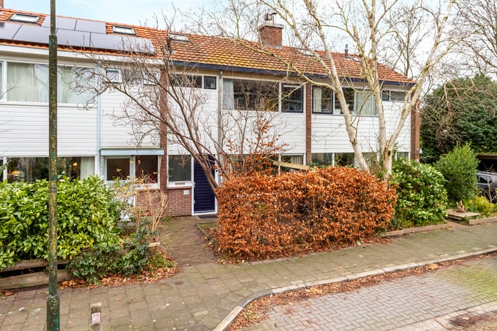 Foto 32 van Troelstraweg 18