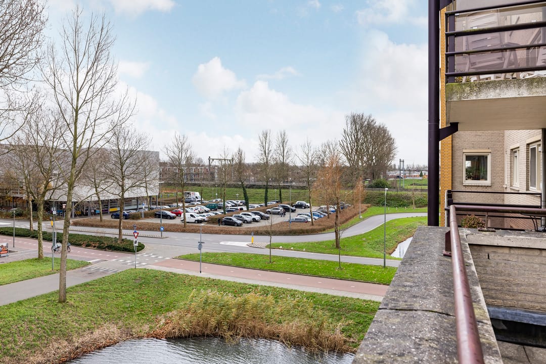 Photo 28 of Merbau 110