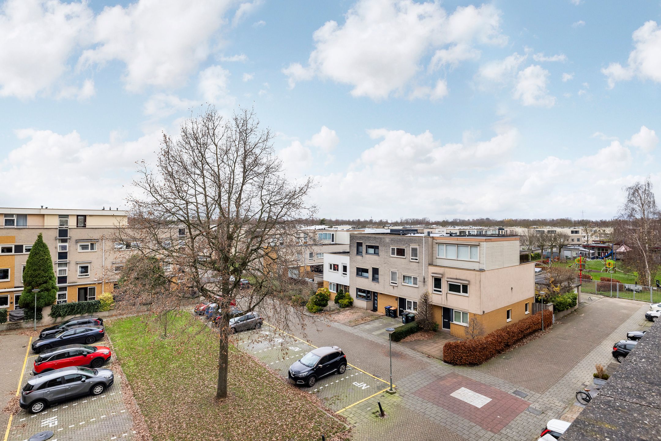 Photo 30 of Merbau 110