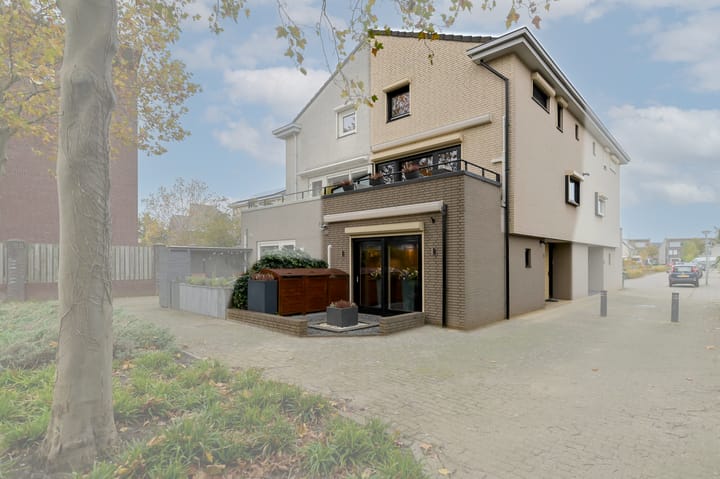 Foto 2 van Zwanebloem 25