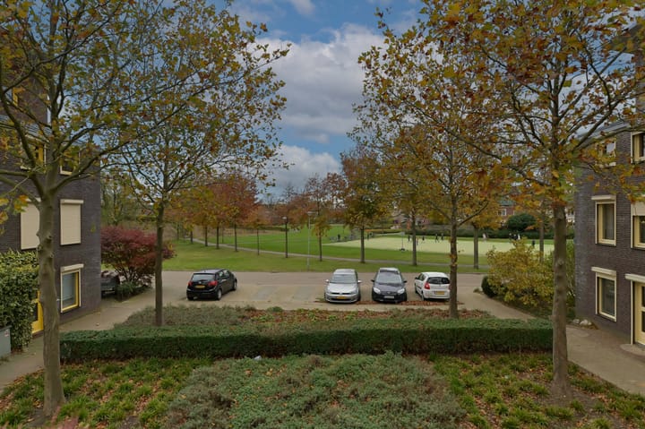 Foto 20 van Zwanebloem 25