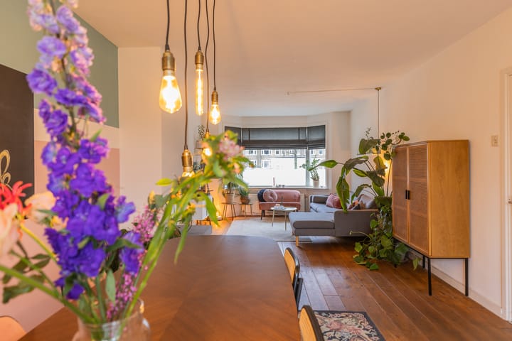 Foto 12 van Johan de Wittlaan 152