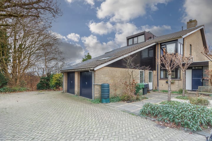 Foto 1 van Bottelroos 5