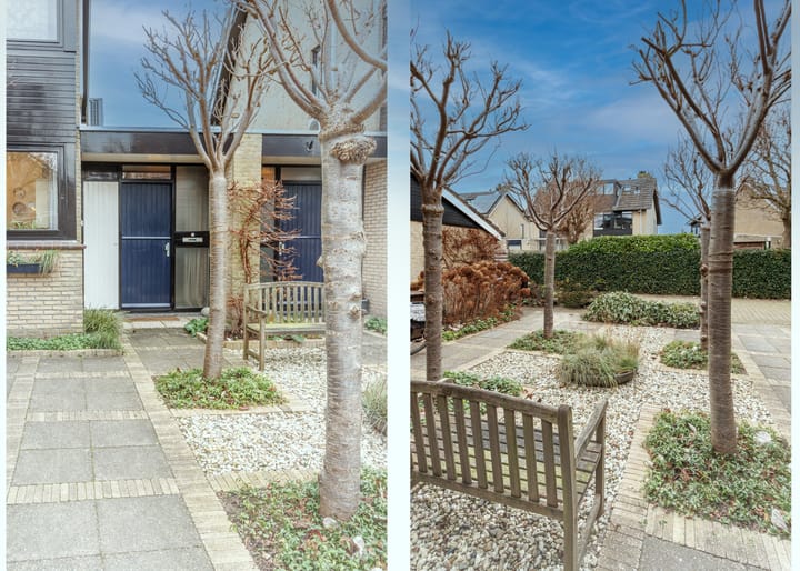 Foto 2 van Bottelroos 5