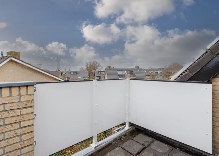 Foto 33 van Bottelroos 5