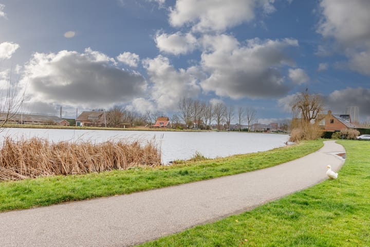 Foto 39 van Bottelroos 5