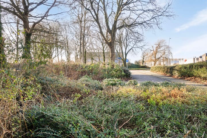 Foto 18 van Andijkstraat 3