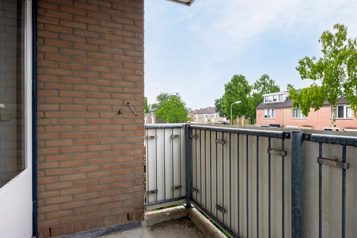 Bekijk foto 12 van Andijkstraat 41