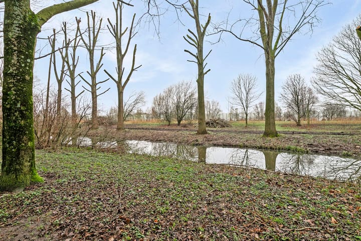 Foto 3 van Tobias Asserlaan 283