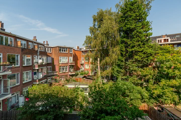 Foto 20 van Schiedamseweg Beneden 465-02R