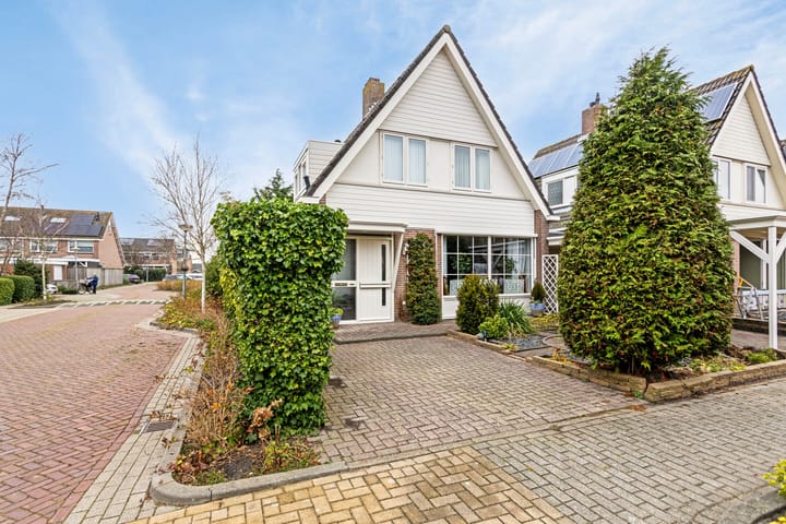 Foto 45 van P. Bergmanstraat 1