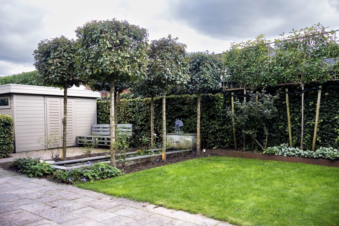 Foto 43 van Brigadelaan 34