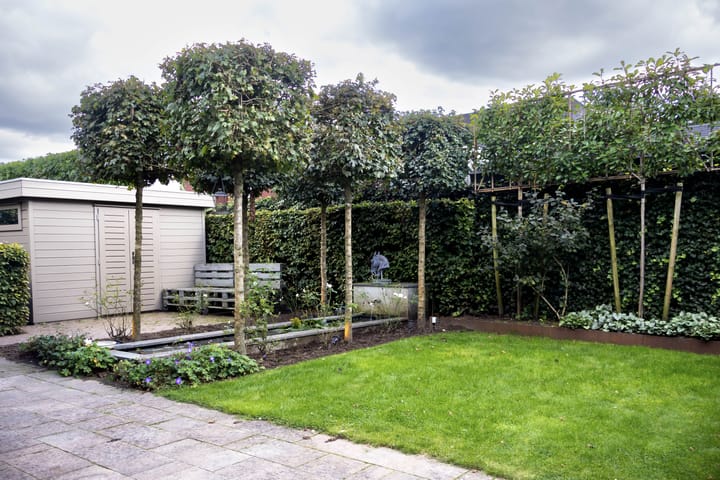 Foto 43 van Brigadelaan 34