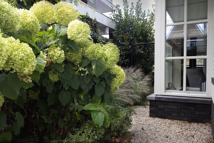 Foto 57 van Brigadelaan 34