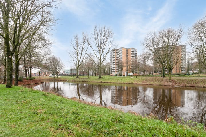 Foto 36 van Spinet 41