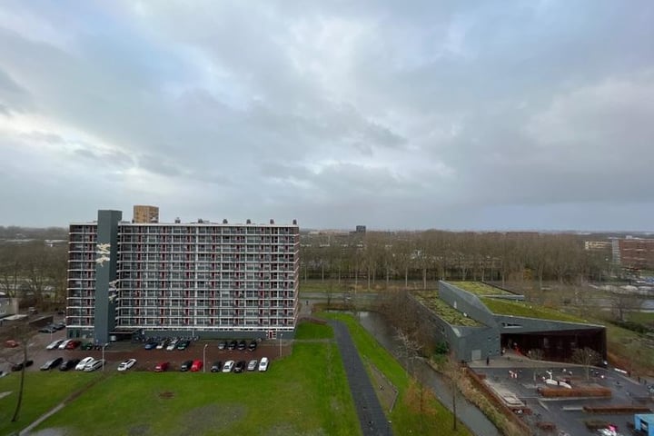 Bekijk foto 9 van Palmyraplaats 202