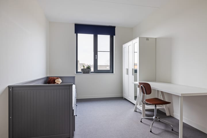 Foto 29 van De Remize 13