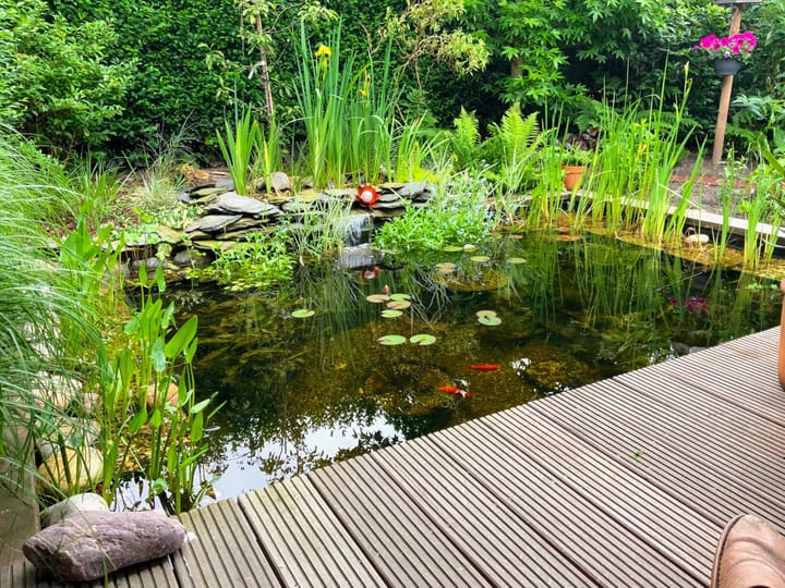 Foto 27 van Mariastraat 36