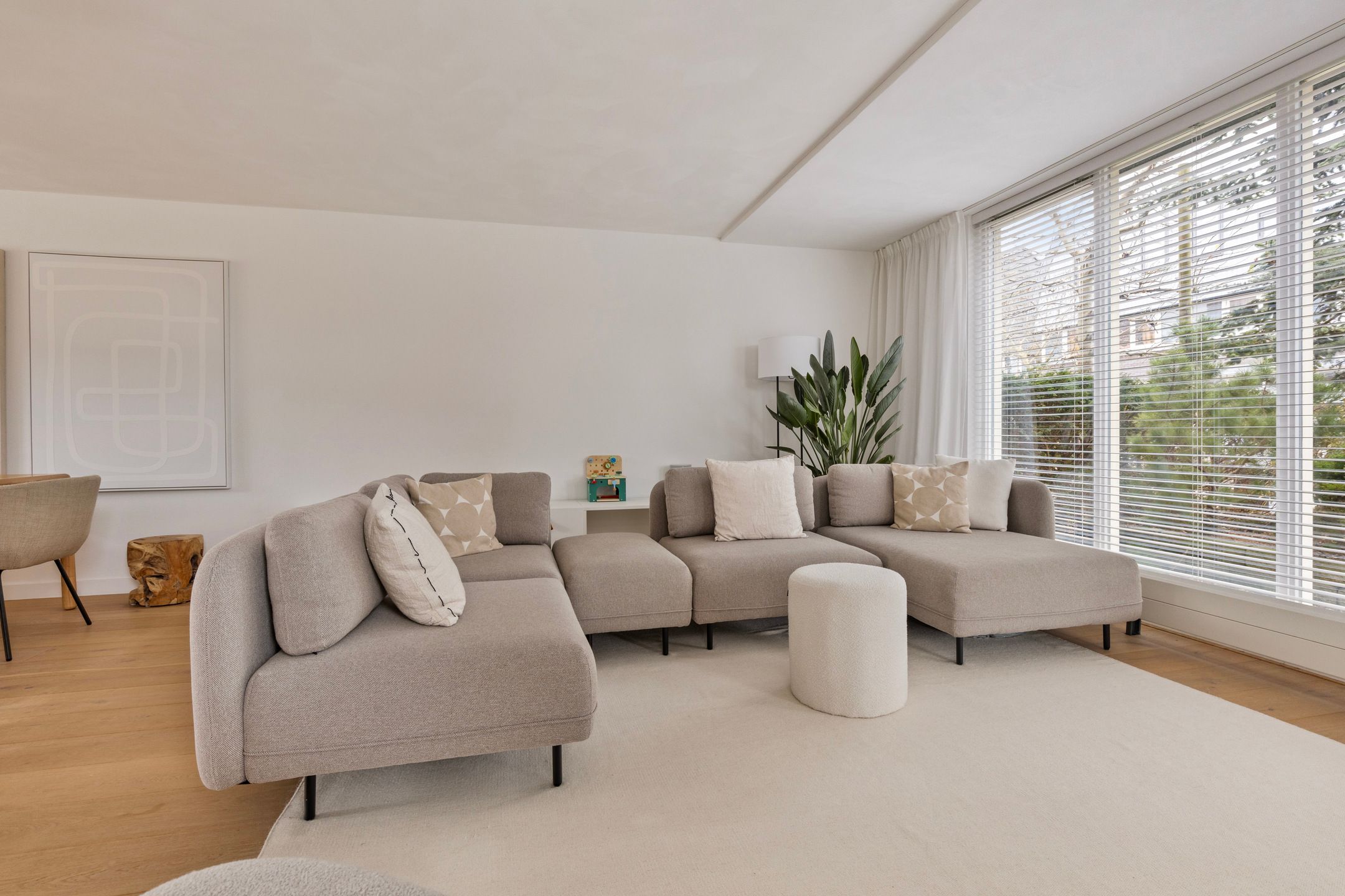 Foto 3 van Dorsvlegel 32