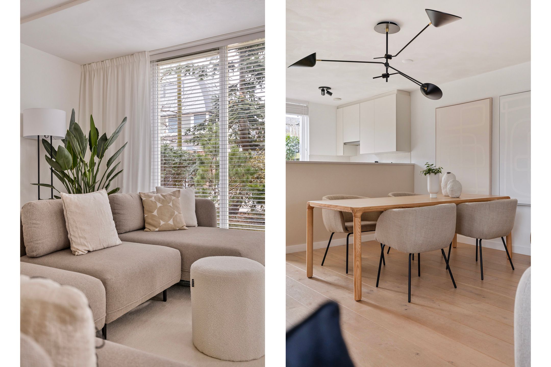 Foto 6 van Dorsvlegel 32